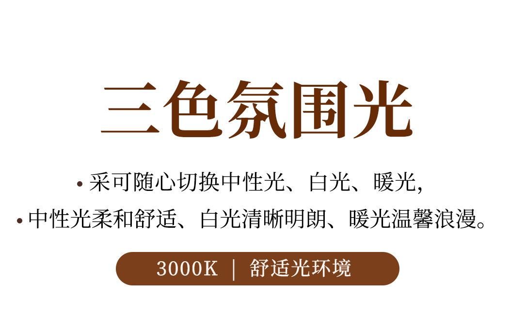 云丝-壁灯 详情图