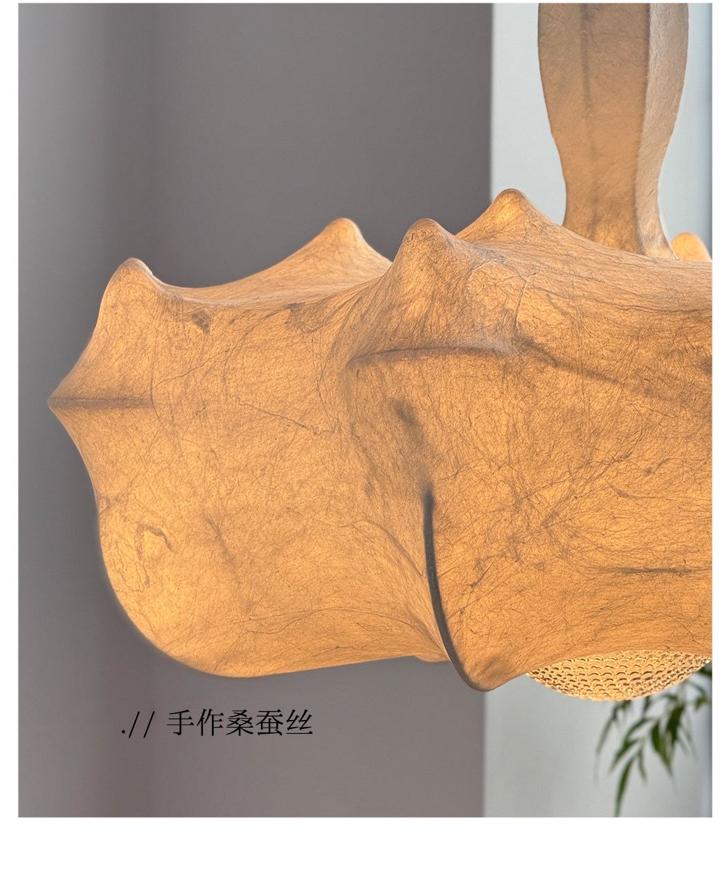 云絮 细节图