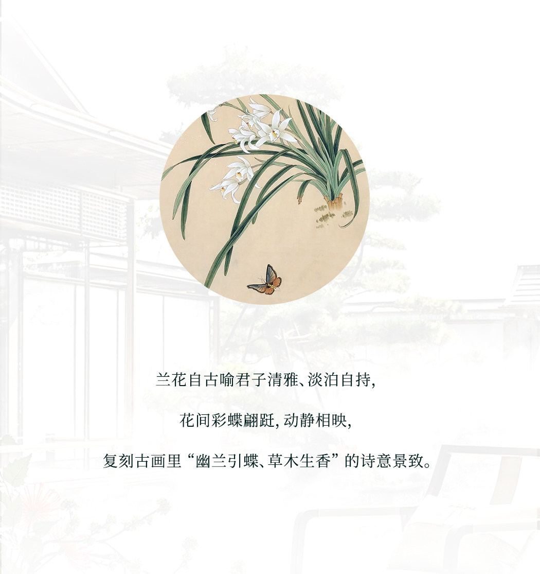 慕兰 详情图