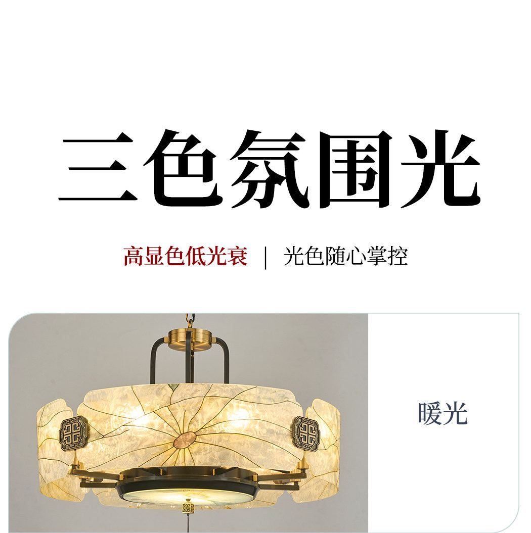 映荷 详情图