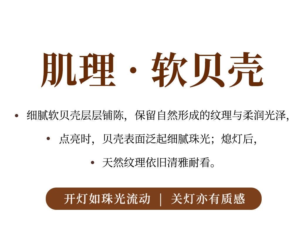 月贝 详情图