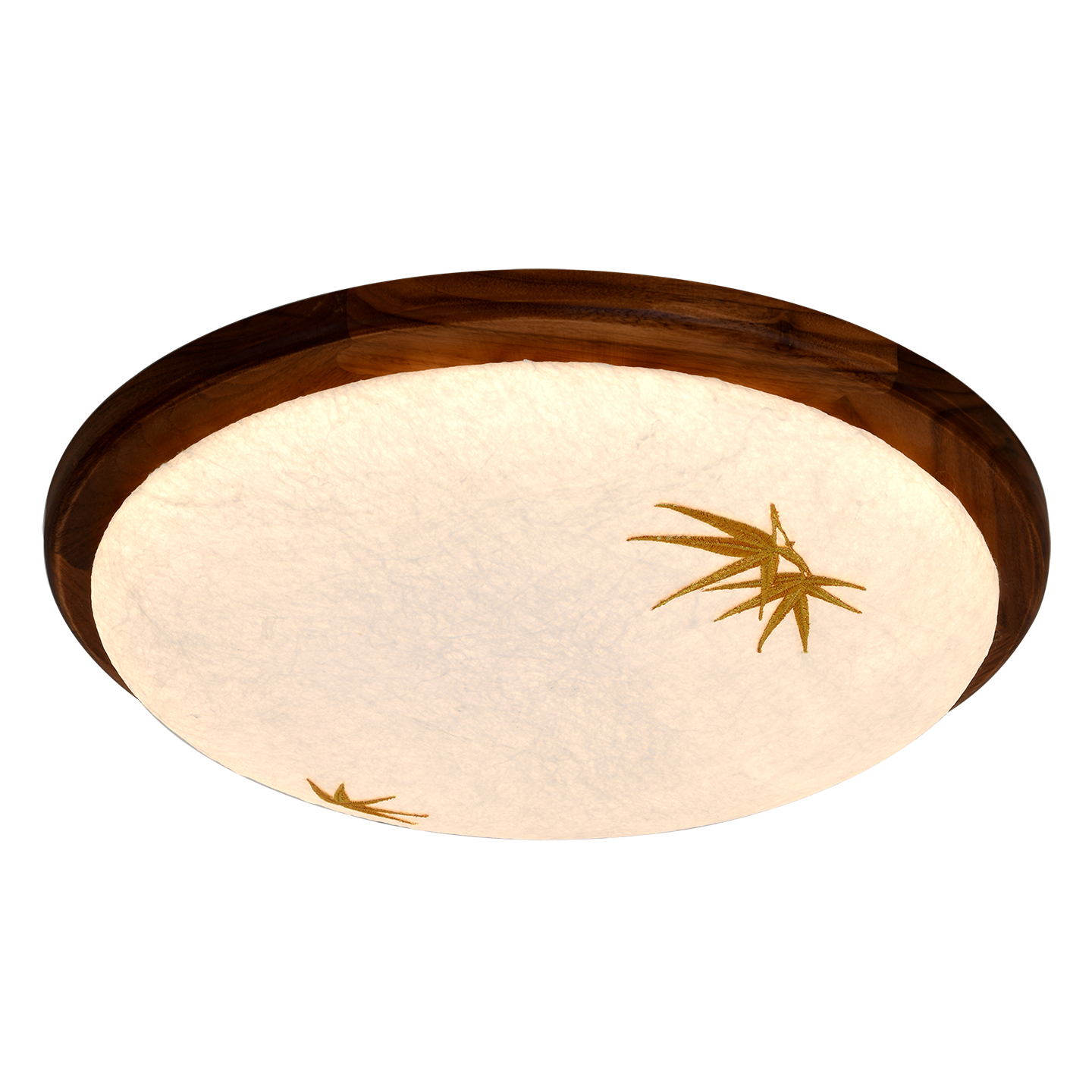 金竹png