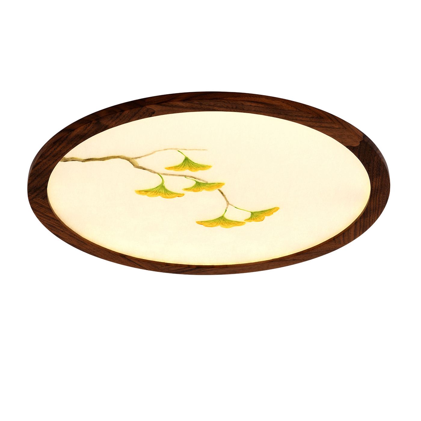 圆-(2)